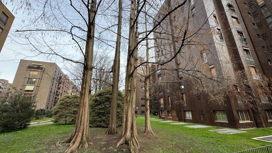 MM4 FRATTINI - 5 LOCALI piano alto!